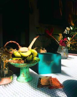 Bring the glow with you ✨ Planning a new vacation? Willow Green’s convenient liquid collagen packaging makes it easy to stay consistent wherever you go. Lightweight, travel-friendly, and mess-free — just toss it in your bag and glow on the go. 💚 Whether you’re beach-bound, city exploring, or weekend escaping, supporting your skin, hair, nails, and joints never takes a day off. Pack smart. Travel glowing. 🌍✨
#CleanCollagen #WillowgreenGlow #BioavailableBeauty #NoMoreDirtyCollagen#thenaturalway #willowgreen #collagenbeauty #BeautyInsideOut #liquidcollagen #jointhealth #naturalbeauty #skinhealth #skincareroutine #healthyskin #beautyfromwithin #youthfulskin #beautysupplements #skincareaddict #skincare #antiaging #RadiantSkin #onthego