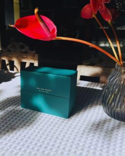 Good things really do come in small packages 💚Willow Green Liquid Collagen comes in a sleek, compact box designed for convenience and style. Easy to store, travel-friendly, and beautifully packaged — it fits perfectly into your routine while looking great on your shelf.Smart packaging. Powerful beauty support.#CleanCollagen #WillowgreenGlow #BioavailableBeauty #NoMoreDirtyCollagen#thenaturalway #willowgreen #collagenbeauty #BeautyInsideOut #liquidcollagen #jointhealth #naturalbeauty #skinhealth #skincareroutine #healthyskin #beautyfromwithin #youthfulskin #beautysupplements #skincareaddict #skincare #antiaging #RadiantSkin #onthego